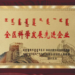 全区科学生长先进企业