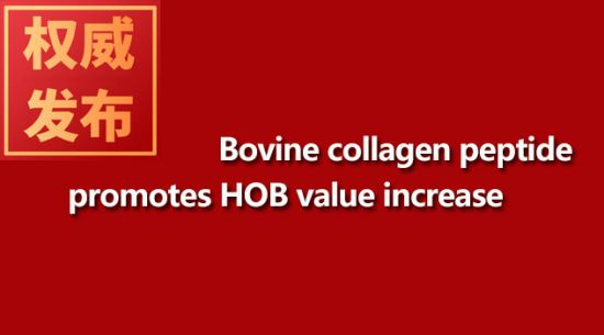 Bovine collagen peptide promotes HOB value increase